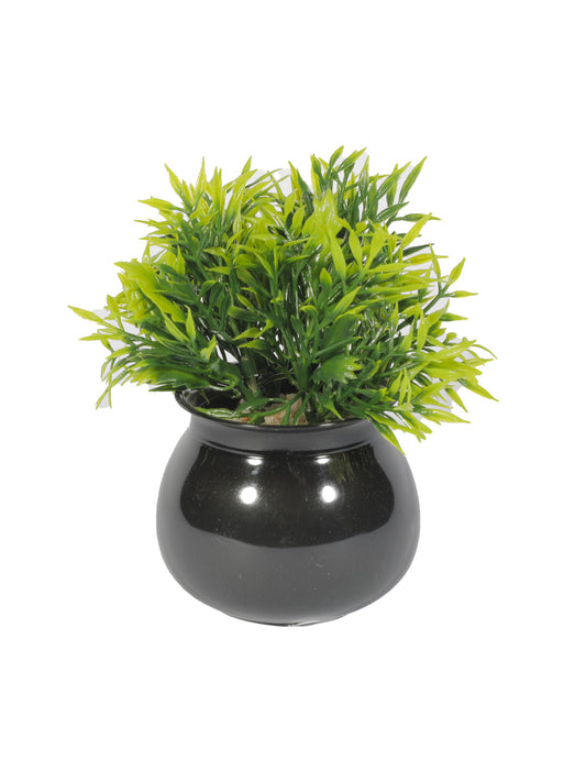 VON CASA Plastic Flower With Pot - Black 