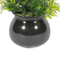 VON CASA Plastic Flower With Pot - Black 