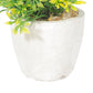 VON CASA Round Plastic small Leaf White Pot