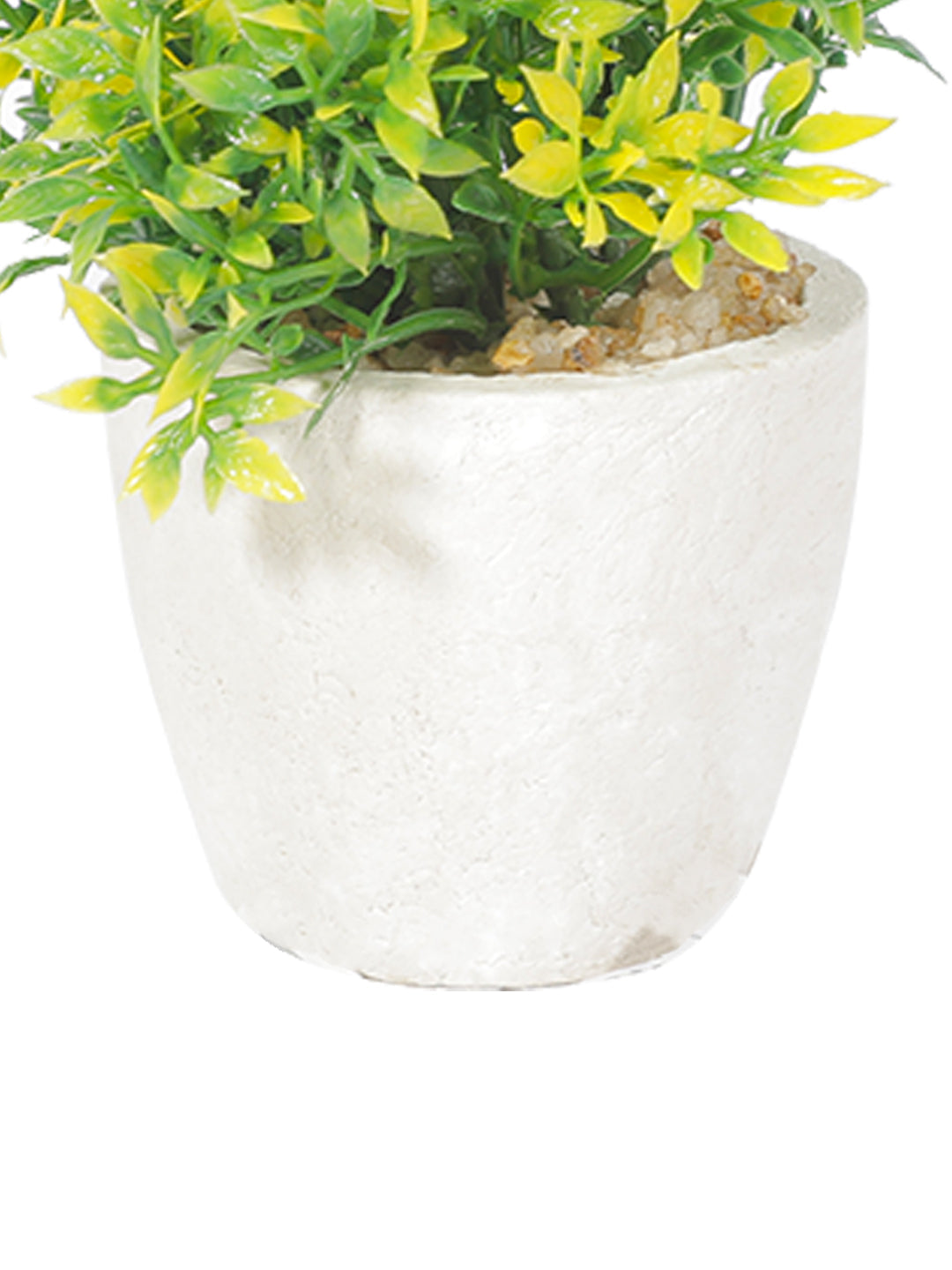 VON CASA Round Plastic small Leaf White Pot