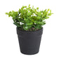 VON CASA Artificial Flower Potted Plant - Black Pot