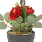 VON CASA Realistic Artificial Bonsai Fake Rose Flower Plant Pot
