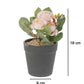 VON CASA Realistic Artificial Bonsai Fake Rose Flower Plant Pot - Black 