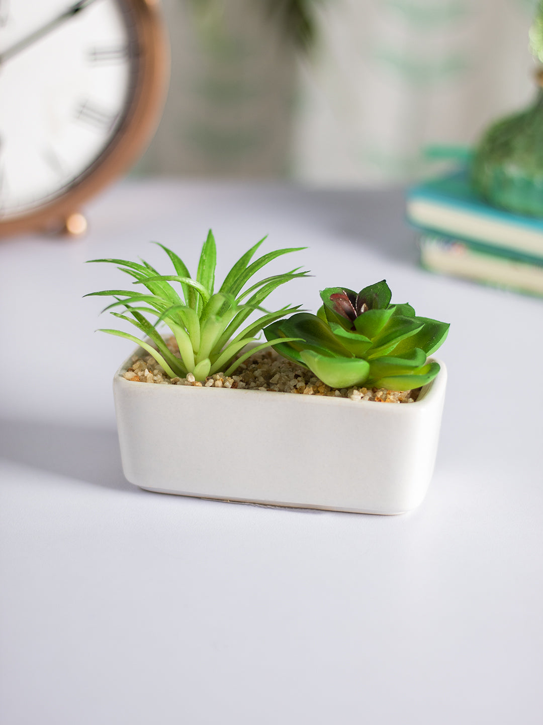 small rectangular succulent planter VON CASA Succulent Planters With Rectangular Flower Pot
