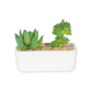 VON CASA Succulent Planters With Flower Pot - White
