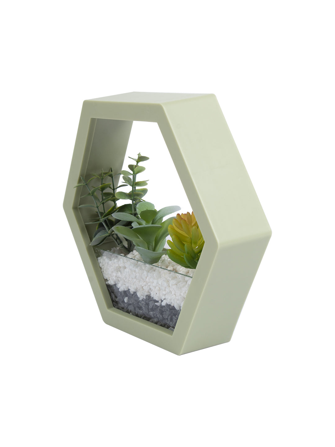 VON CASA Elegant Hexagonal Transparent Wall Hanging Terrarium