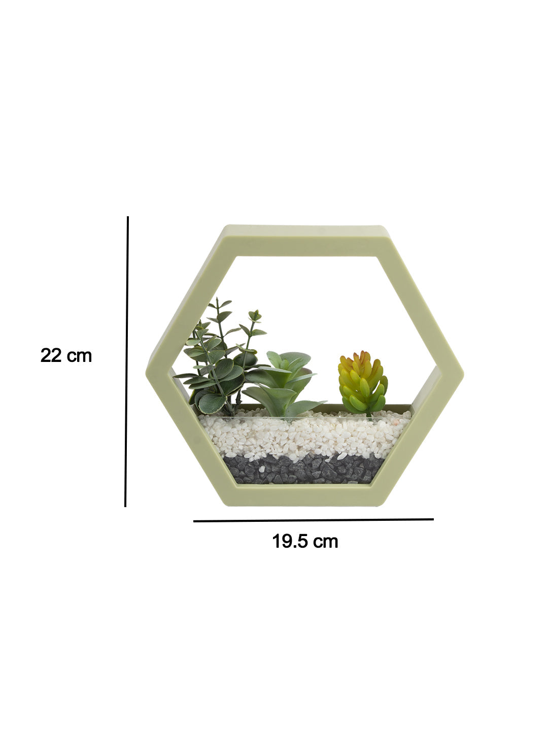 VON CASA Elegant Hexagonal Transparent Wall Hanging Terrarium