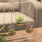 VON CASA Home Decor Table Centerpiece Planter holder  With 3 Glass Plants Vostive